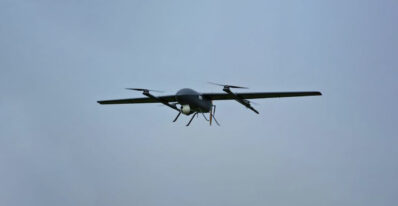Pen UAS Bird Flying